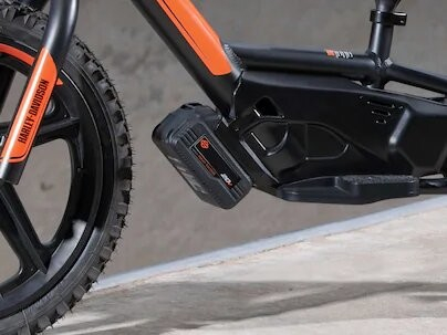 StaCyc Iron E